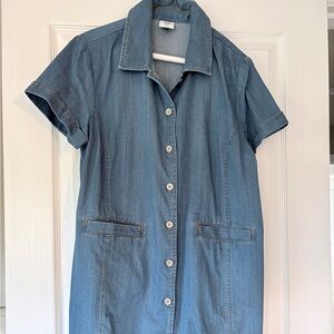 CAbi Blue Denim Dress